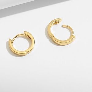 Demi-Fine Huggie Hoop Earrings